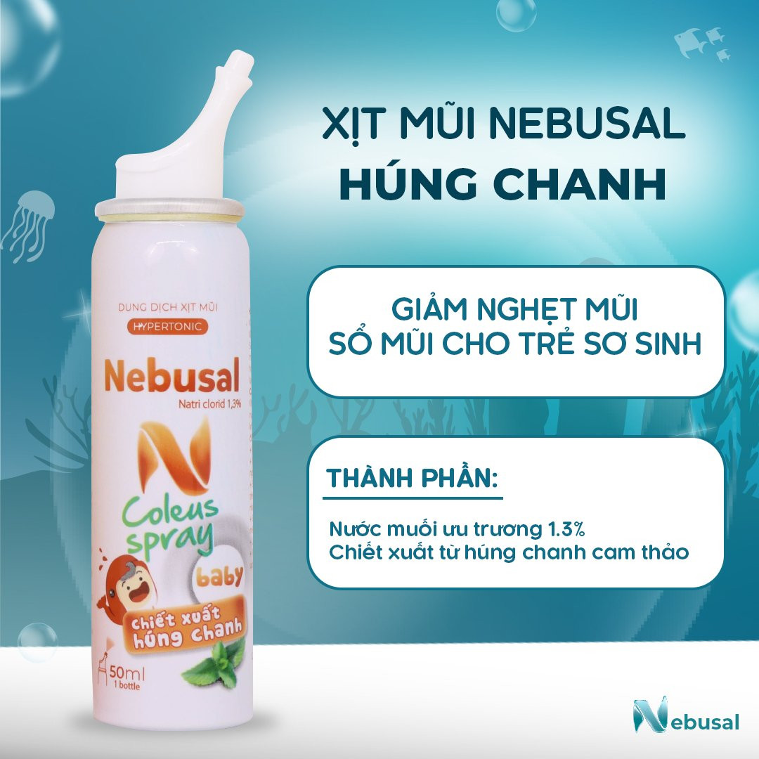 Nebusal húng chanh