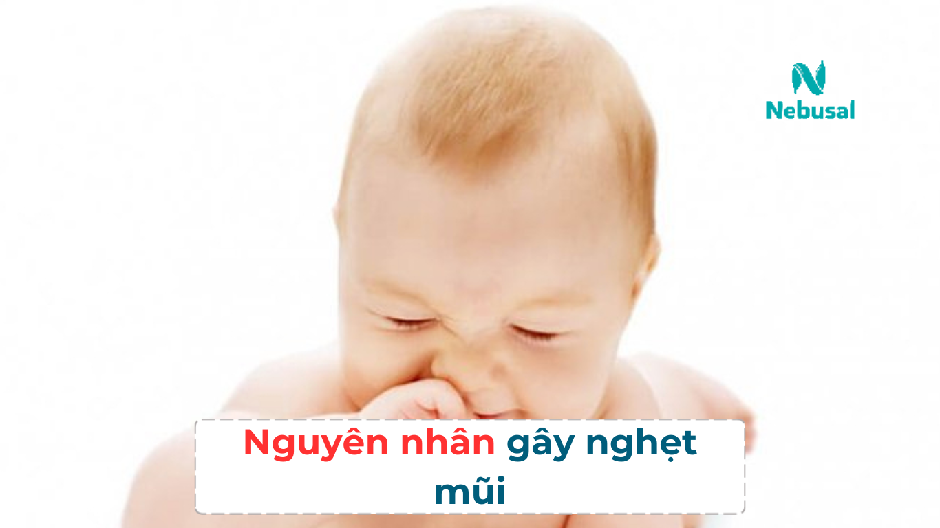 Nguyên nhân gây nghẹt mũi 