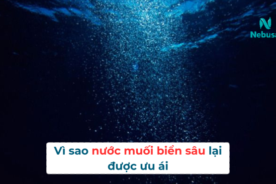 Nước muối biển sâu được ưu ái trong các sản phẩm xịt mũi thế hệ mới