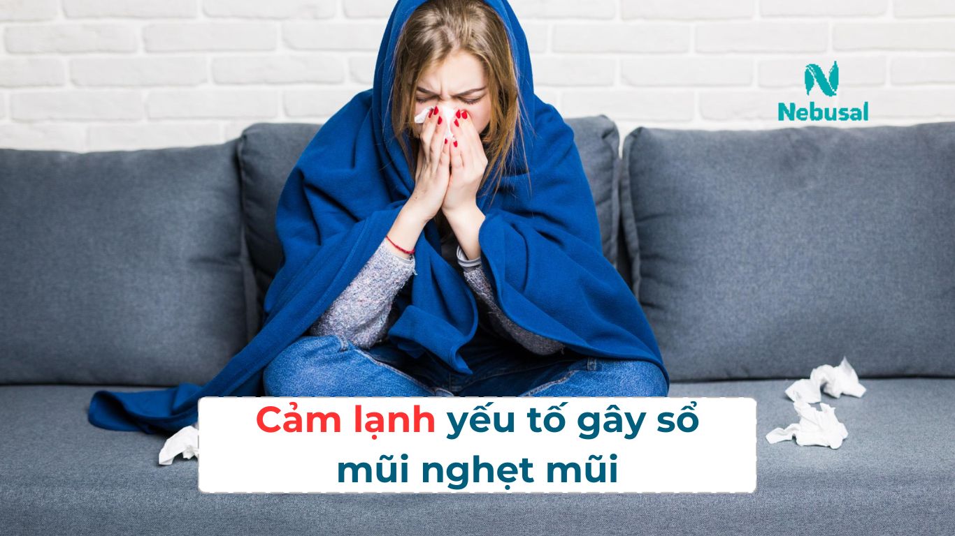 Cảm lạnh là một trong những nguyên nhân gây sổ mũi, nghẹt mũi