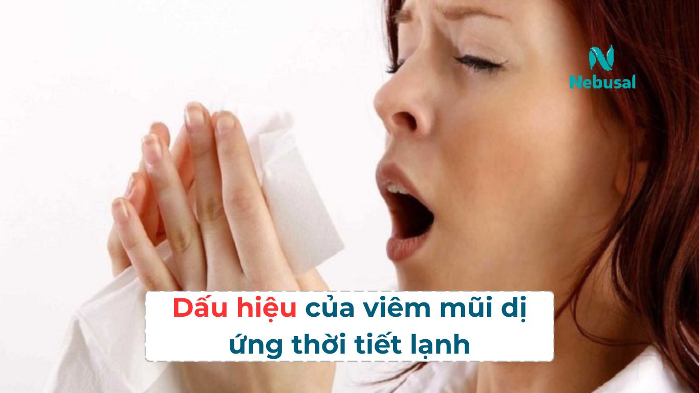 Dấu hiệu nhận biết viêm mũi dị ứng thời tiết lạnh
