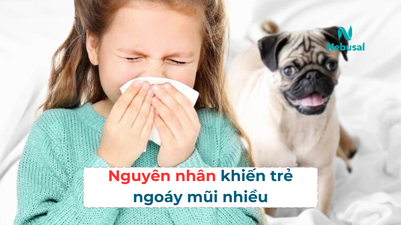Nguyên nhân khiến trẻ ngoáy mũi nhiều
