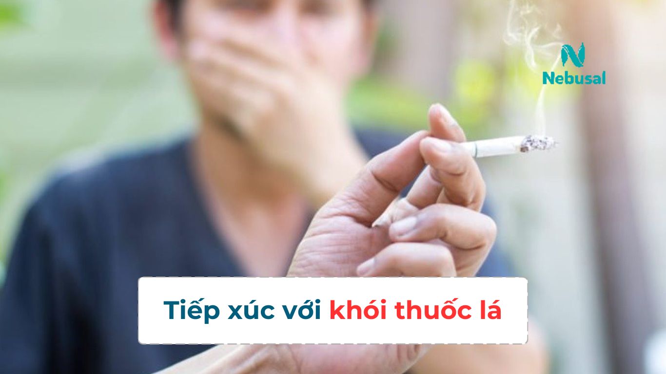 Nguyên nhân gây sổ mũi, nghẹt mũi