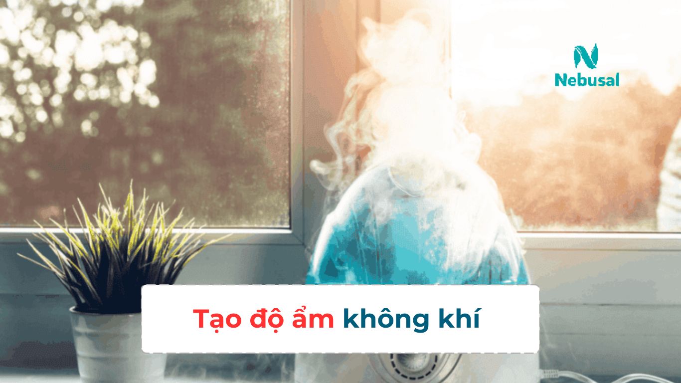 Cách vệ sinh mũi mũi họng