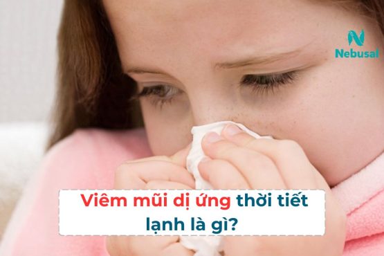 Bệnh viêm mũi dị ứng thời tiết lạnh có nguy hiểm không?