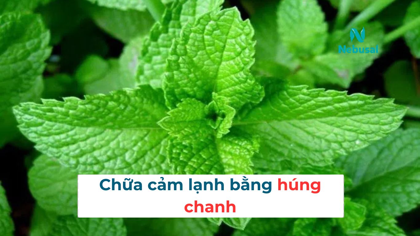 Cách chữa cảm lạnh cho người lớn