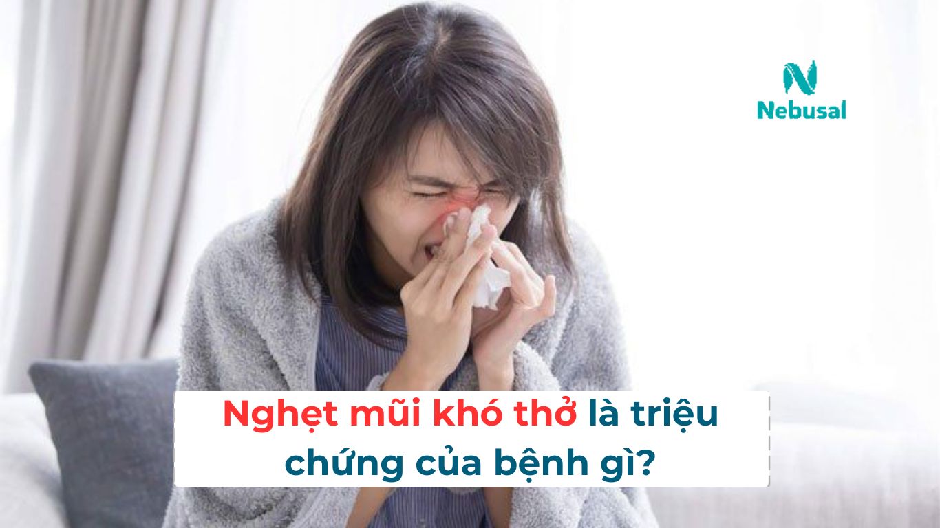 nghet-mui-kho-tho