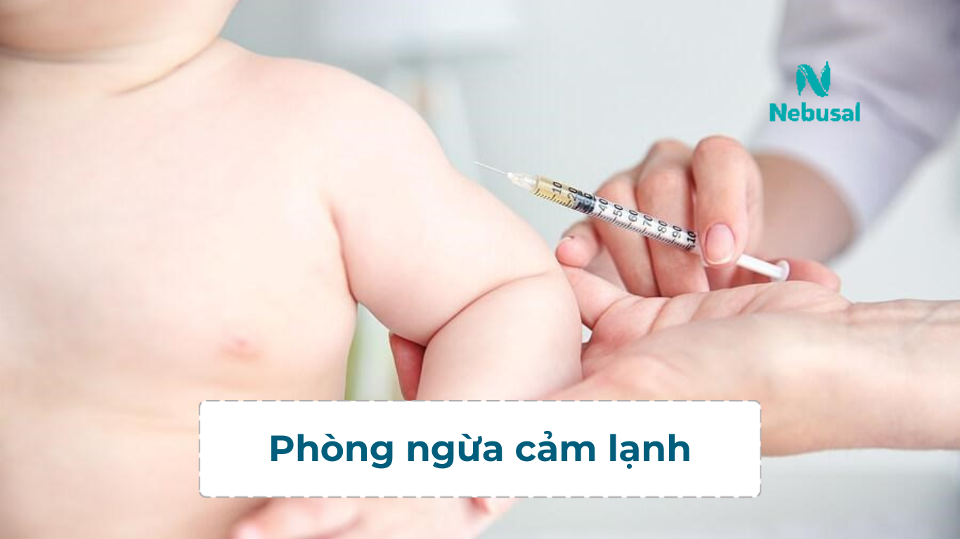Phong-ngua-cam-lanh