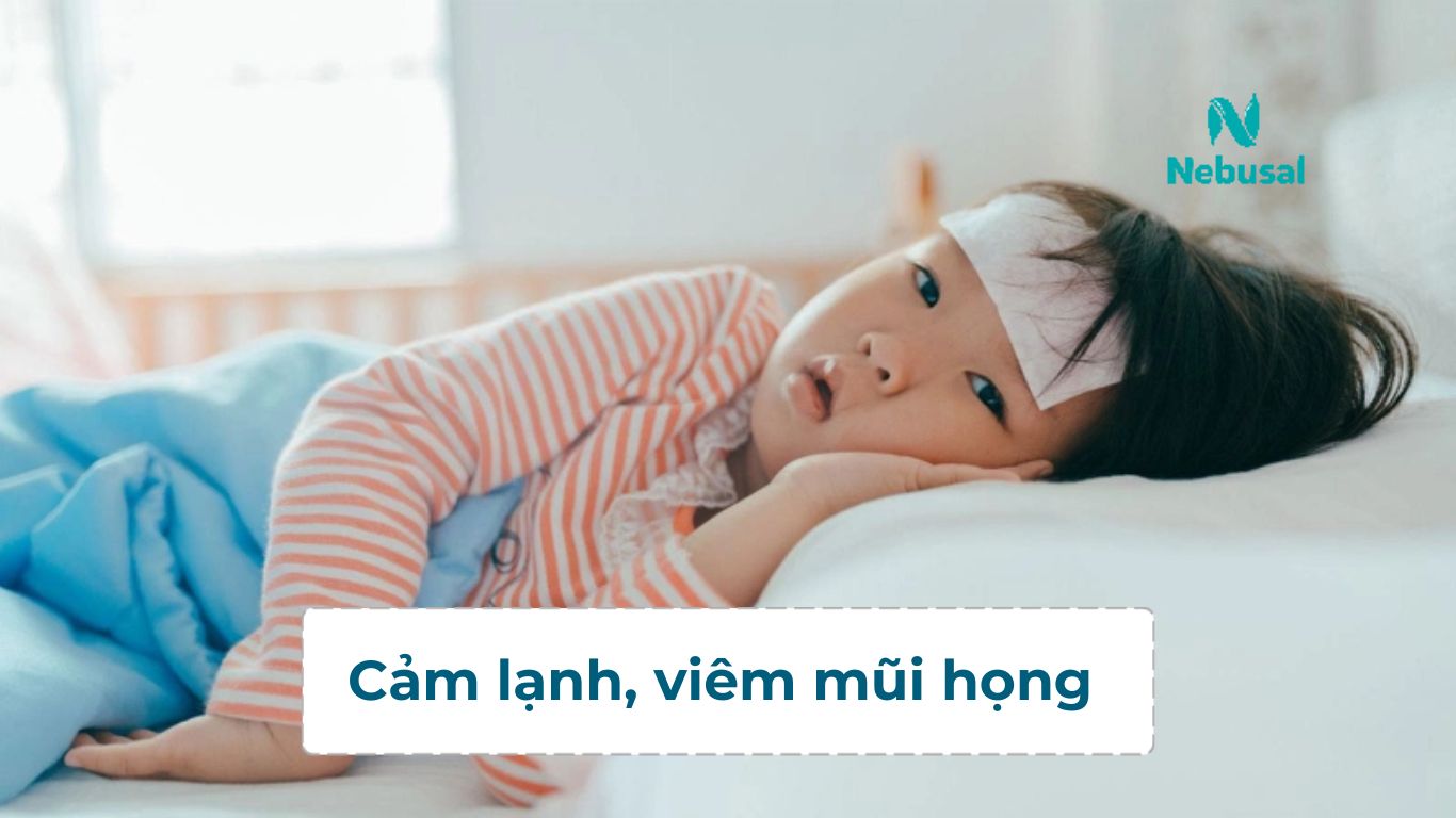 cam-lanh