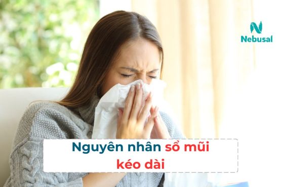 Nguyên nhân sổ mũi kéo dài và cách điều trị dứt điểm