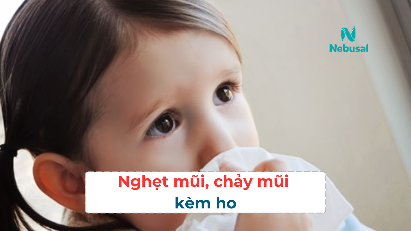 Nghẹt mũi, chảy mũi kèm ho