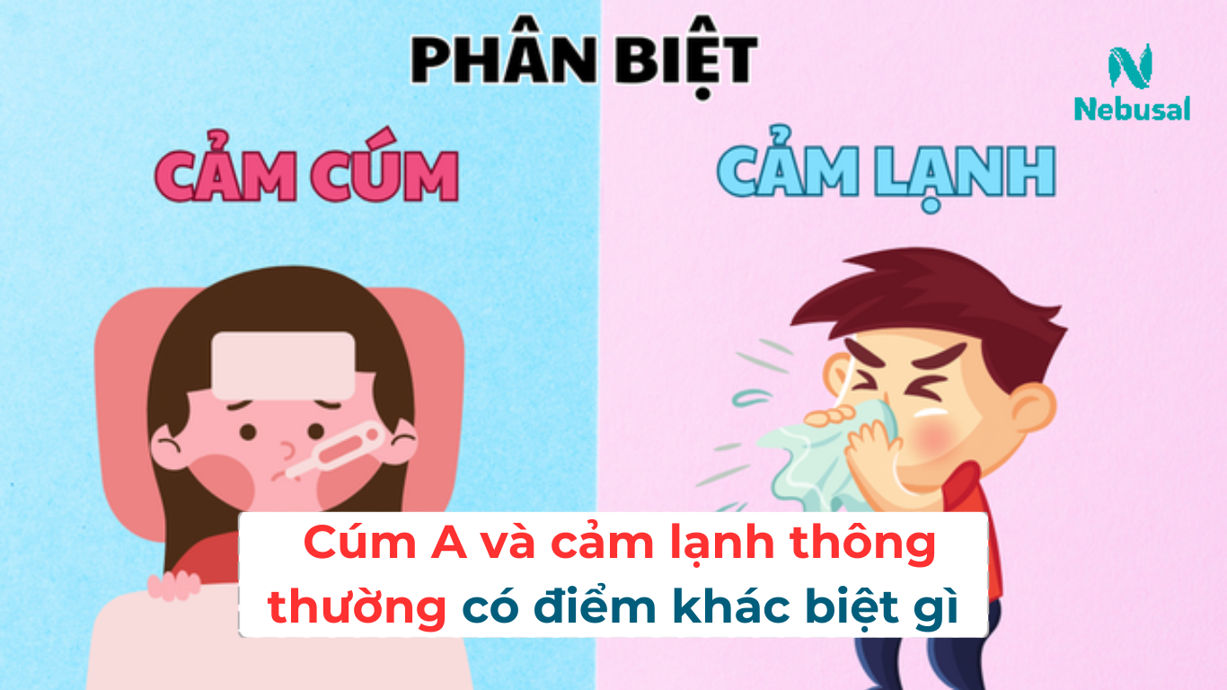 Cúm A và cảm lạnh thông thường có điểm khác biệt gì