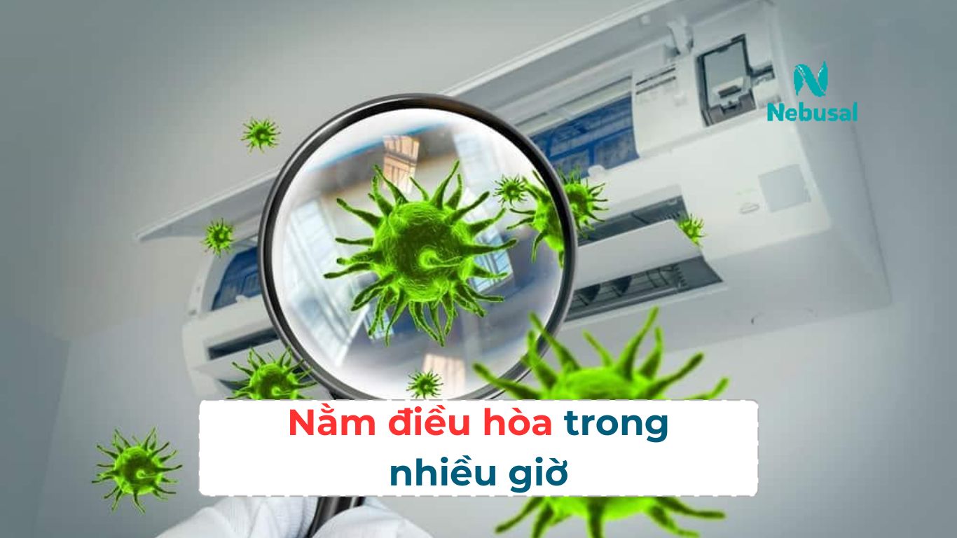 kho-mui